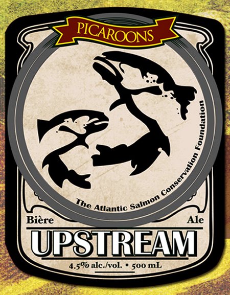 picaroons_upstream