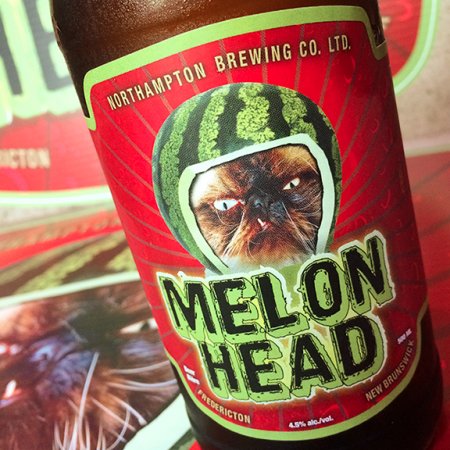 picaroons_melonhead_2015