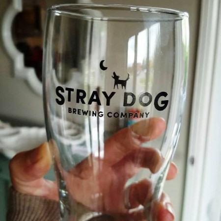 straydog_glass