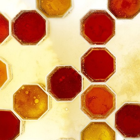 The Grid Offers A Guide To Fall Beer