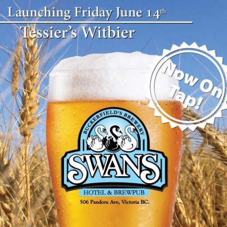 Swans Tessier’s Witbier Launching Today