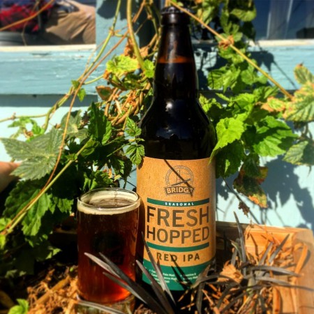 Bridge Brewing Fresh Hopped Red IPA Now Available
