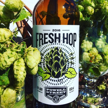Powell Street Releases 2016 Edition of Fresh Hop Ale