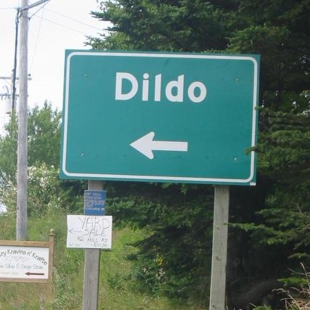 Dildo Brewing Company Looking for Government Approval in Newfoundland