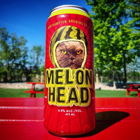 Picaroons Reveals Melonhead Cat Contest Winner for 2018
