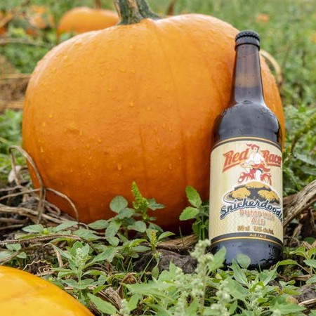 Central City Brings Back Red Racer Snickerdoodle Pumpkin Ale