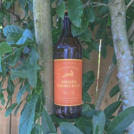 Field House Brewing Releases Mandarin Berliner Weisse