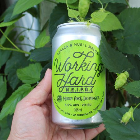 Muddy York Brewing Releases Azacca & Huell Melon Edition of Working Hard NEIPA