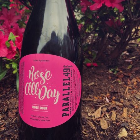 Parallel 49 Brewing and The Hatch Winery Release Rosé All Day Sour