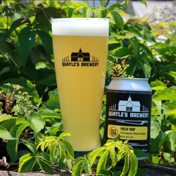 Quayle’s Brewery Releases Field Trip Pineapple Weed Saison
