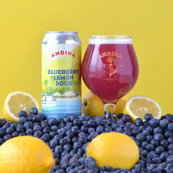 Andina Brewing Releases Amarga Blueberry Lemon Sour