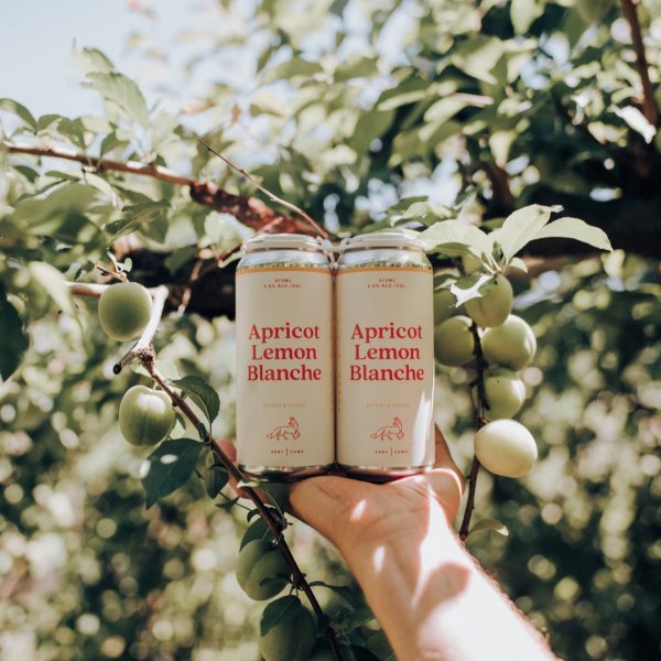 Field House Brewing Brings Back Apricot Lemon Blanche