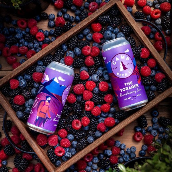 Camp Beer Co. Brings Back The Forager Bumbleberry Sour