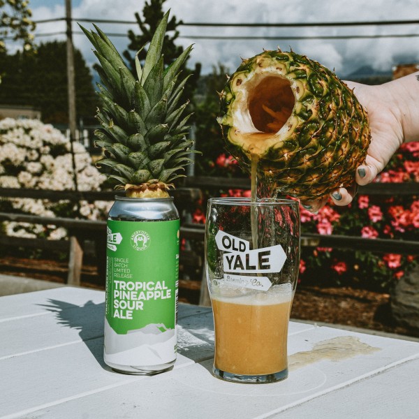 Old Yale Brewing and Angry Otter Liquor Release Tropical Pineapple Sour Ale