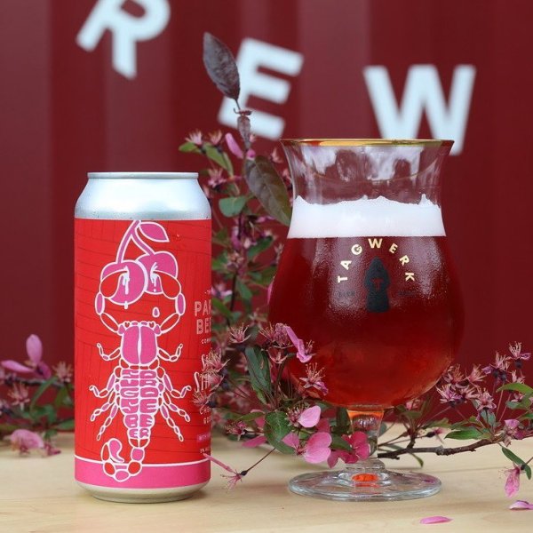 The Paris Beer Co. Releases Salty Stinger Sour Cherry Gose