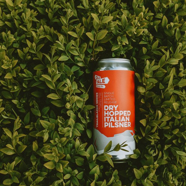 Old Yale Brewing Releases Dry Hopped Italian Pilsner