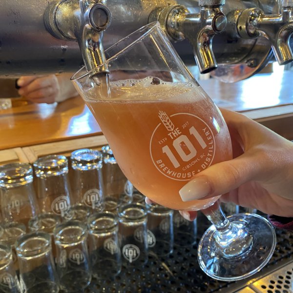 The 101 Brewhouse & Distillery Releases Feelin’ Bubbly Pink Guava Mimosa Sour