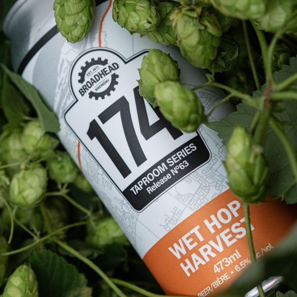 Broadhead Brewery 174 Taproom Series Continues with Wet Hop Harvest Ale