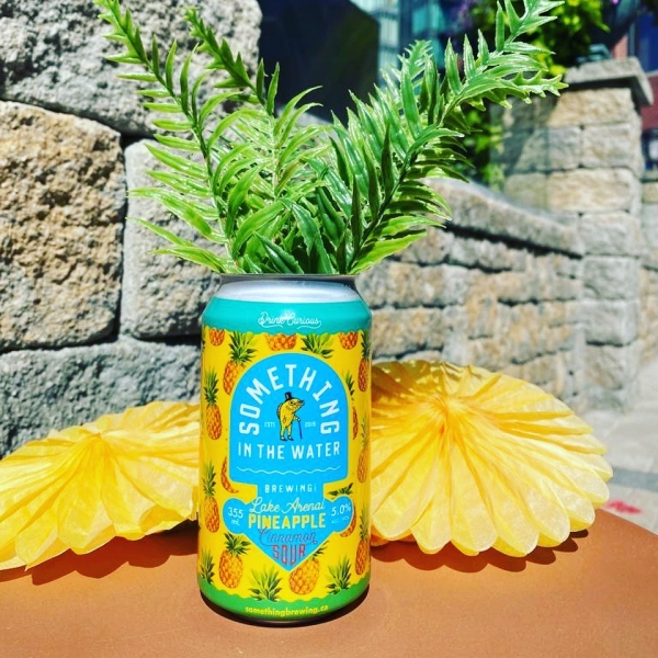 Something In The Water Brewing Releases Lake Arenal Pineapple Cinnamon Sour