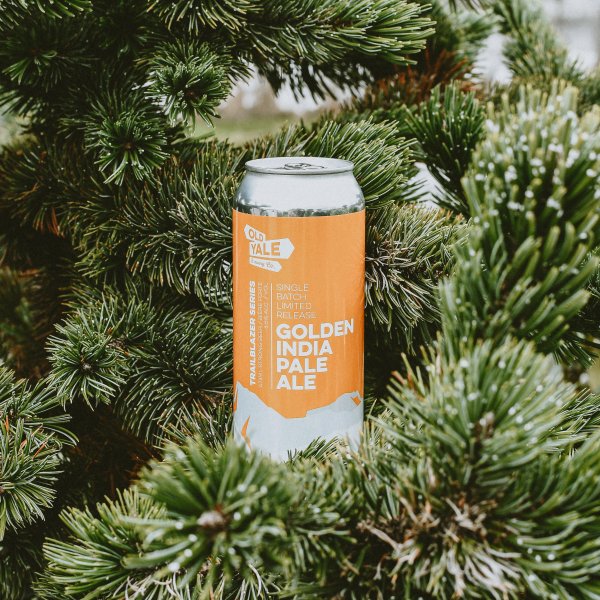 Old Yale Brewing Releases Golden India Pale Ale