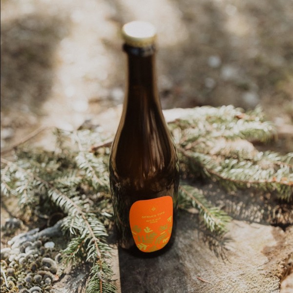 Still Fields Brewery Releases Spruce Tip Wild Ale