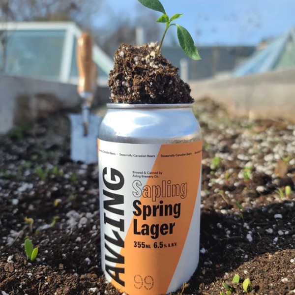 Avling Brewery Releases Sapling Spring Lager and Shadowplay Pale Ale