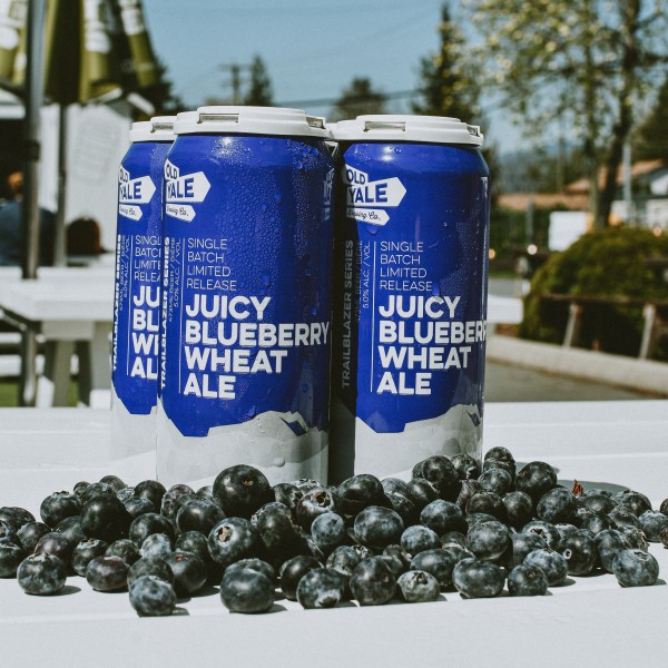 Old Yale Brewing Brings Back Juicy Blueberry Wheat Ale