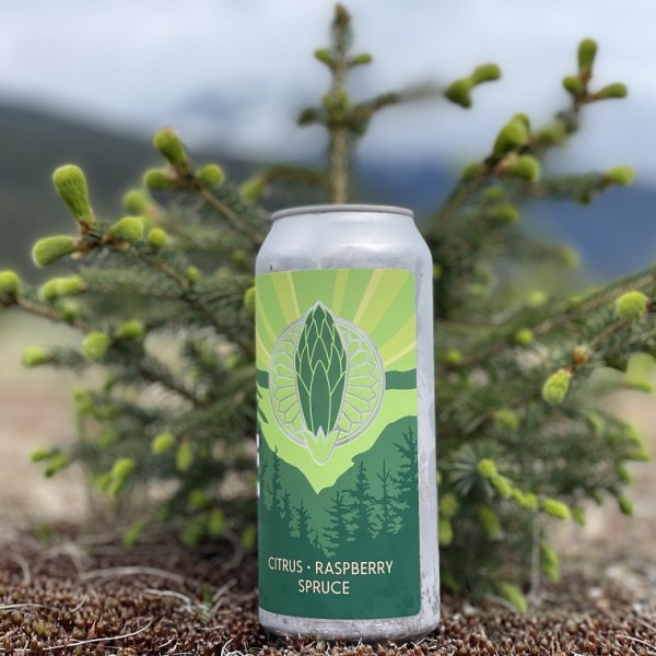 Winterlong Brewing Releases 2023 Edition of Spruce Tip Pale Ale
