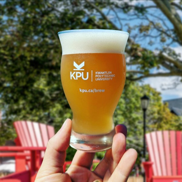 KPU Brewing Program Holding Ask Me Anything Sessions & Online Brewing Chemistry Course