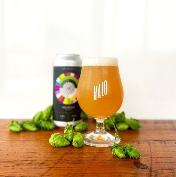 Halo Brewery Releases Test Pattern Nectaron Pale Ale and Cherry Shapeshifter Sour IPA