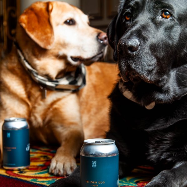 Yellow Dog Brewing and Fairmont Hotel Vancouver Release The Lobby Dog Lager