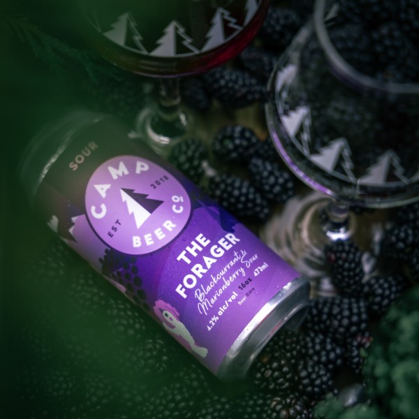 Camp Beer Co. Brings Back The Forager Blackcurrant & Marionberry Sour